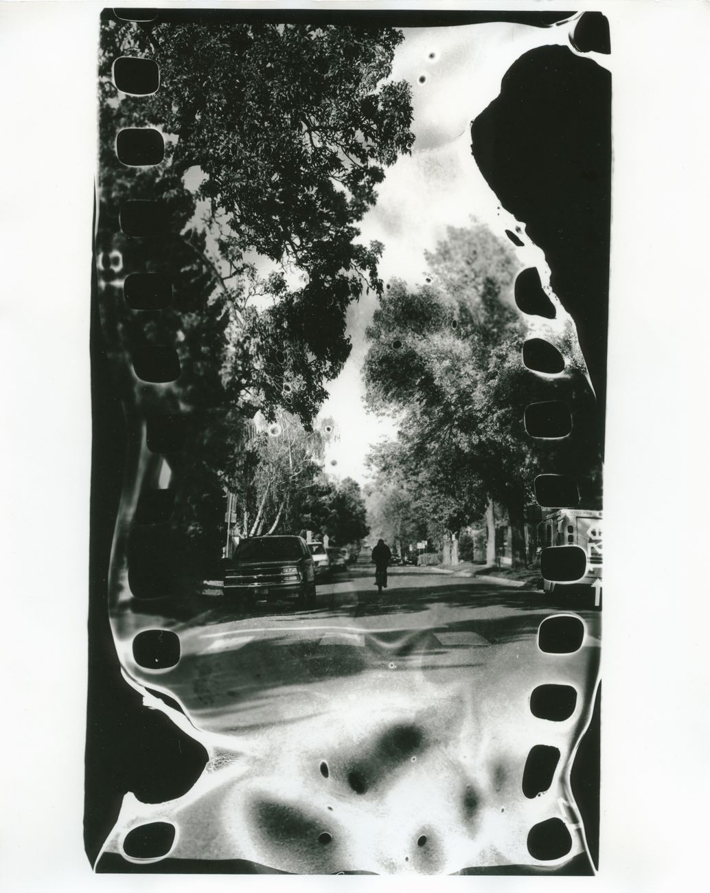 a black and white photo of a tree lined street