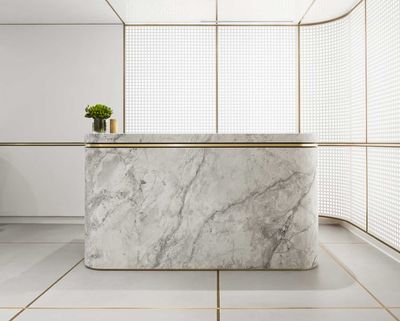 a marble counter with a plant in it