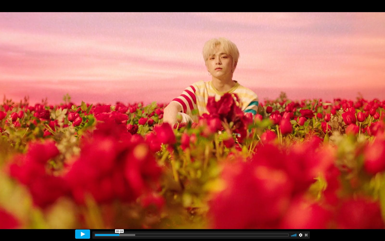 a young boy sitting in a field of red flowers