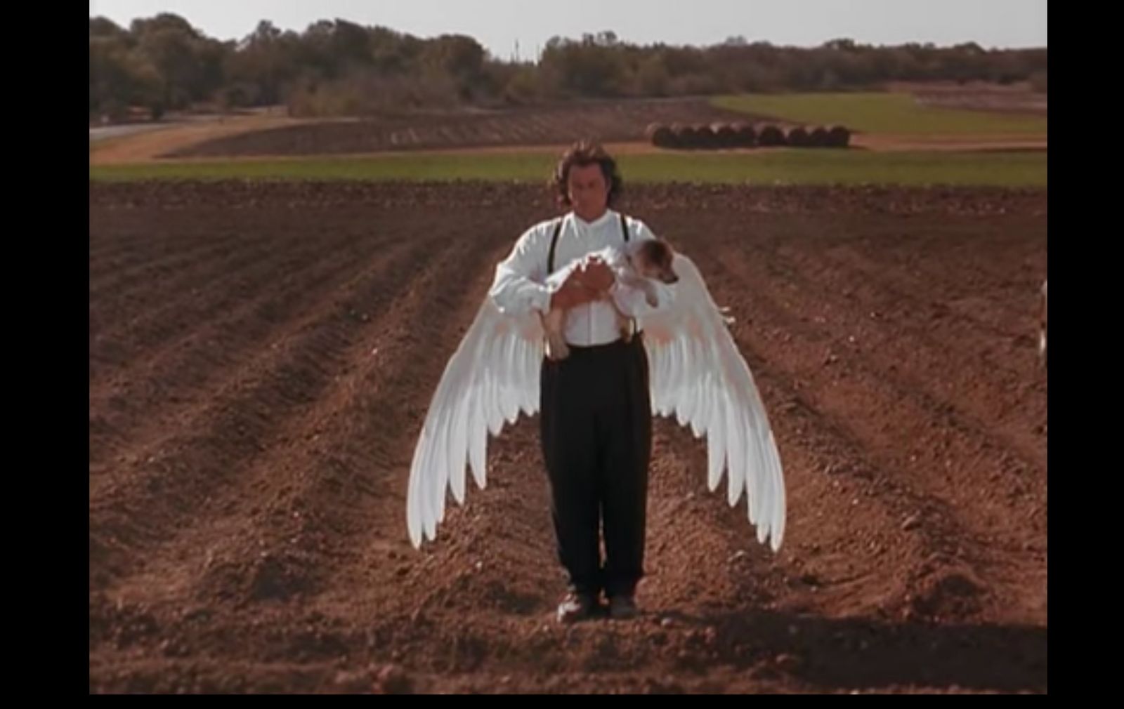 a man standing in a field holding a large white bird