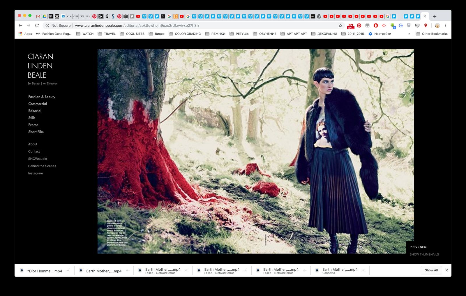 a woman standing next to a tree in a forest