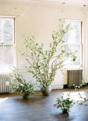 a room with a bunch of plants on the floor