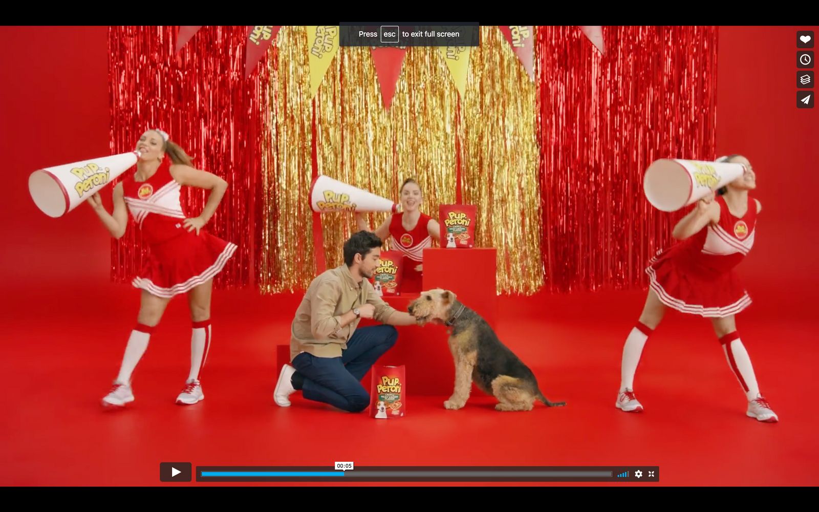 a man kneeling down next to a dog on top of a red floor