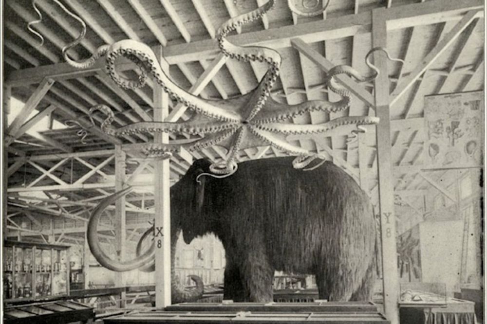 a large elephant standing inside of a building