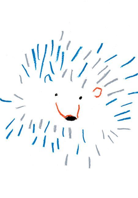 a drawing of a porcupine on a white background