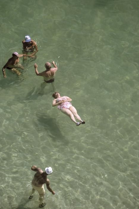 a group of people swimming in a body of water