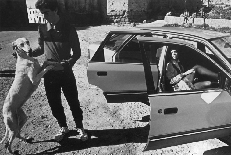 a man standing next to a dog in front of a car