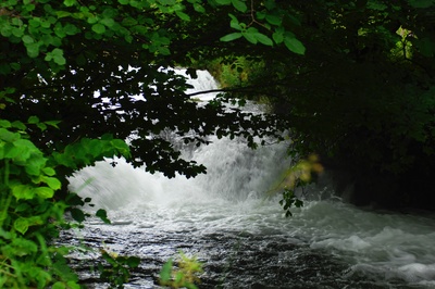 a small waterfall is seen through the trees