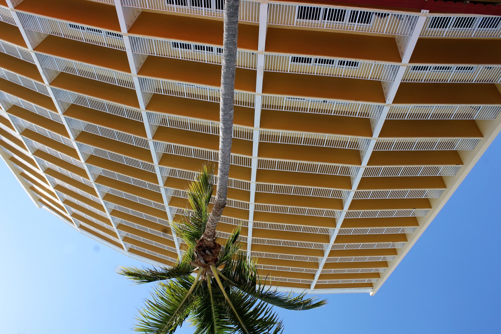 a tall yellow building with a palm tree in front of it