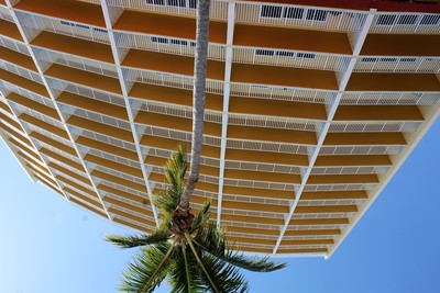 a tall yellow building with a palm tree in front of it