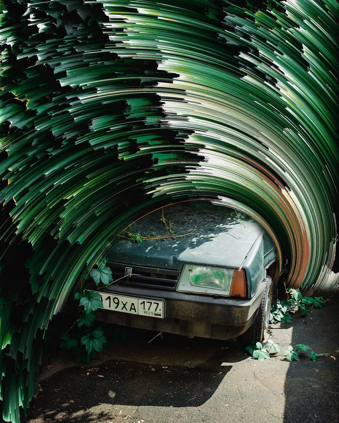 a car is parked under a large green plant