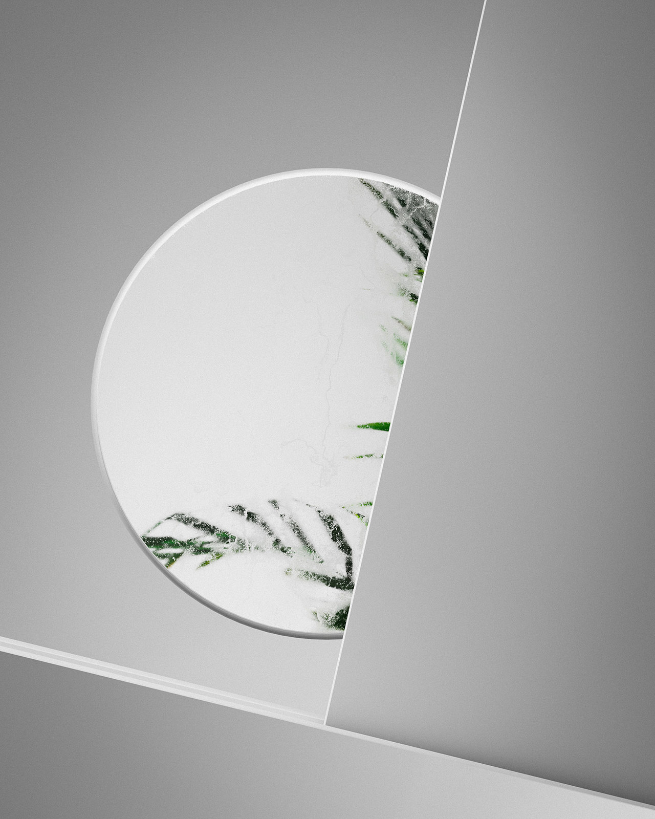 a white plate with a green leaf design on it