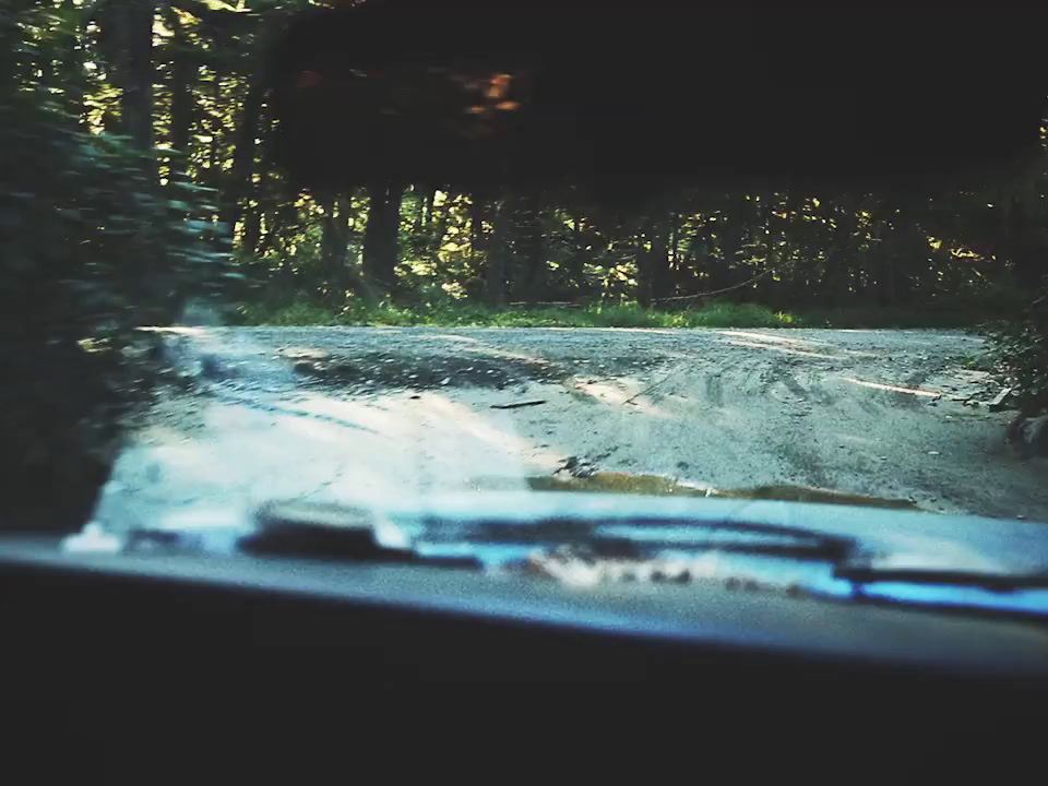 a car driving down a dirt road next to a forest