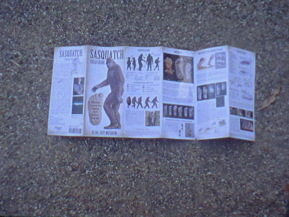 a newspaper laying on the ground next to a sidewalk