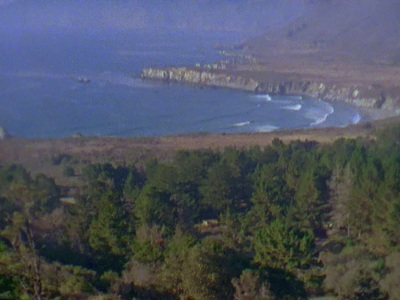 a large body of water surrounded by trees