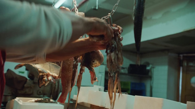 a person holding a bunch of dead fish