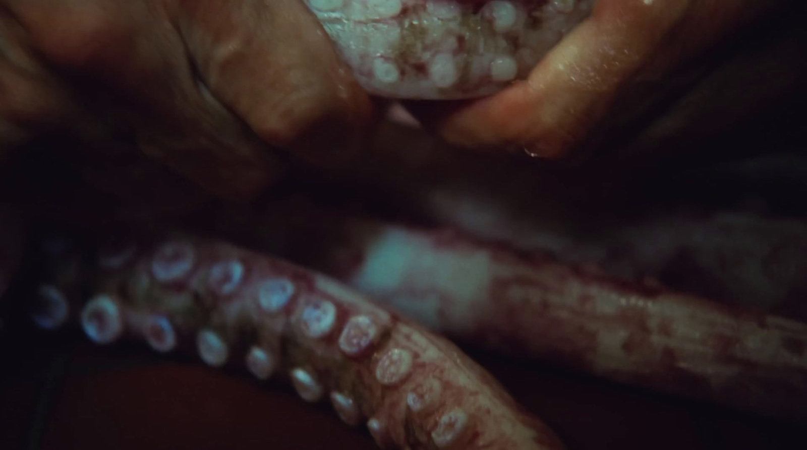 a close up of a person holding an octopus