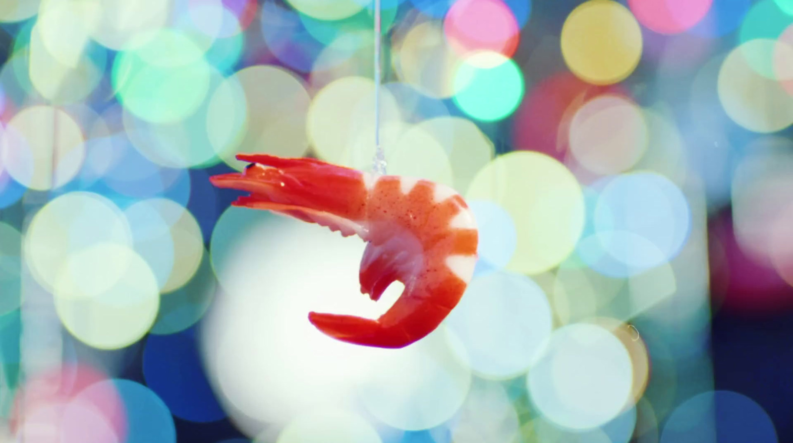 a red toy shrimp hanging from a string