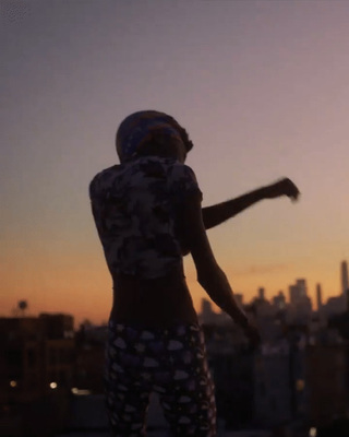 a woman standing on top of a roof at sunset