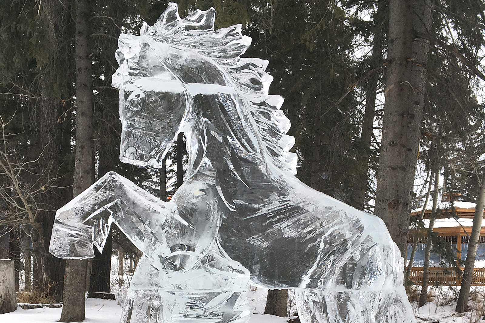 an ice sculpture of a horse in the snow