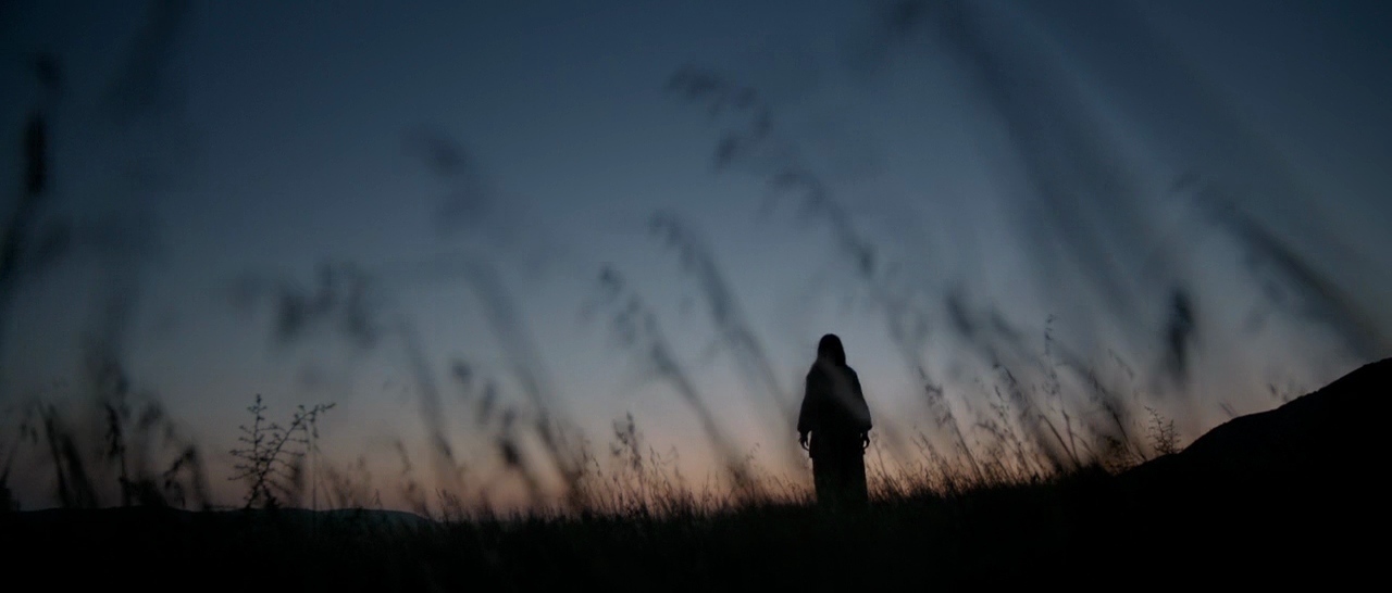 a person standing in a field at night