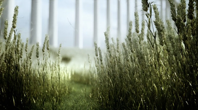 a field of tall grass with a fence in the background