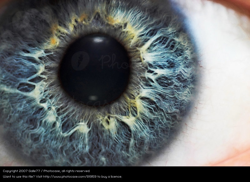 a close up of a person's blue eye