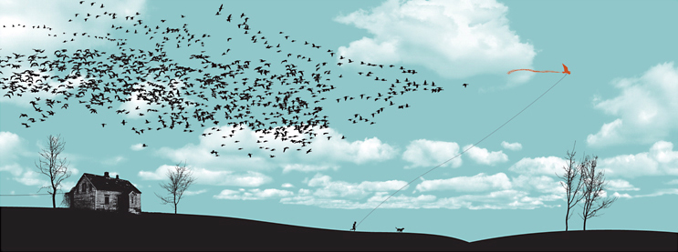 a flock of birds flying over a house