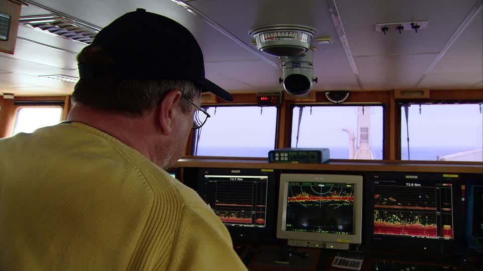 a man in a yellow shirt and a black hat