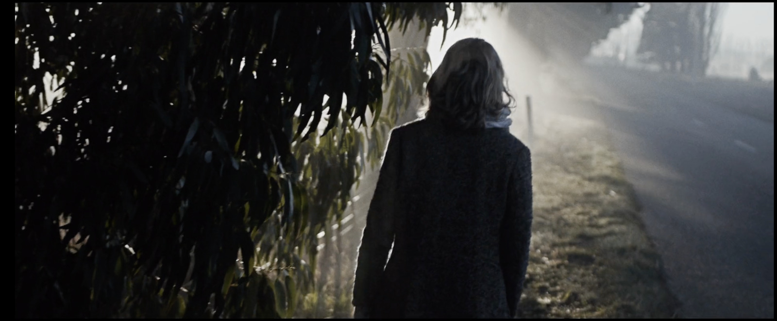 a person walking down a street in the fog