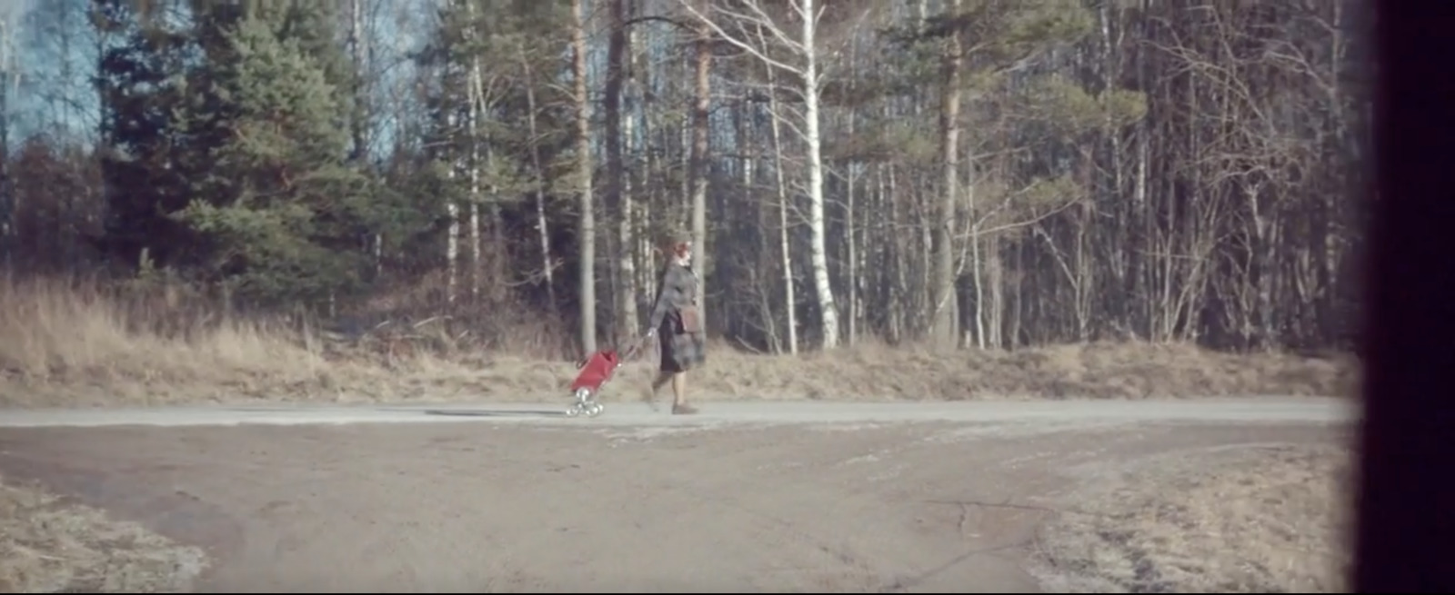 a person walking down a dirt road in the woods