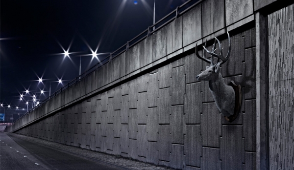 a deer head mounted to the side of a wall