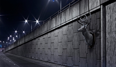 a deer head mounted to the side of a wall