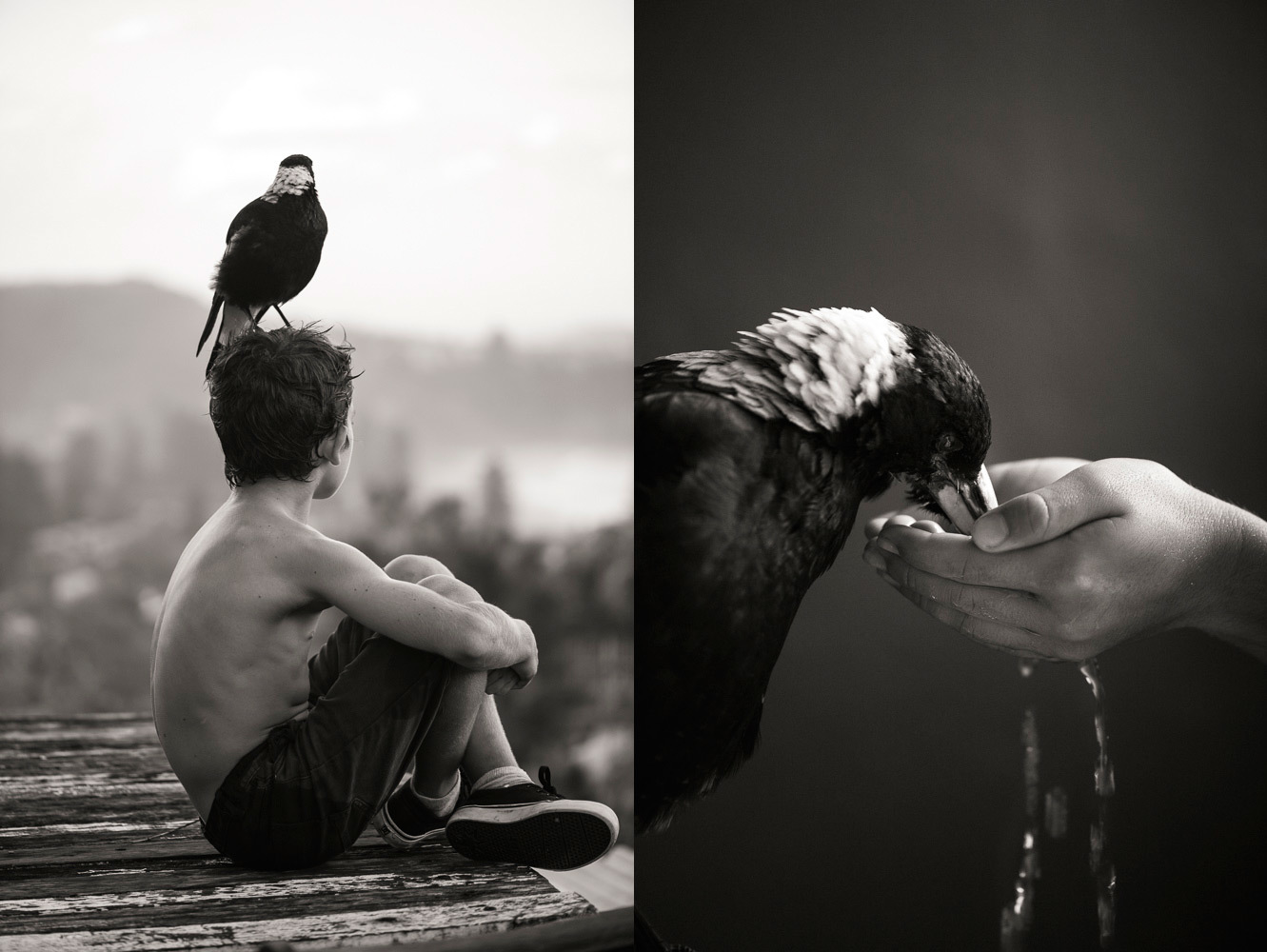 a bird perched on the back of a man's head