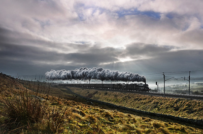 a train traveling down train tracks next to a field