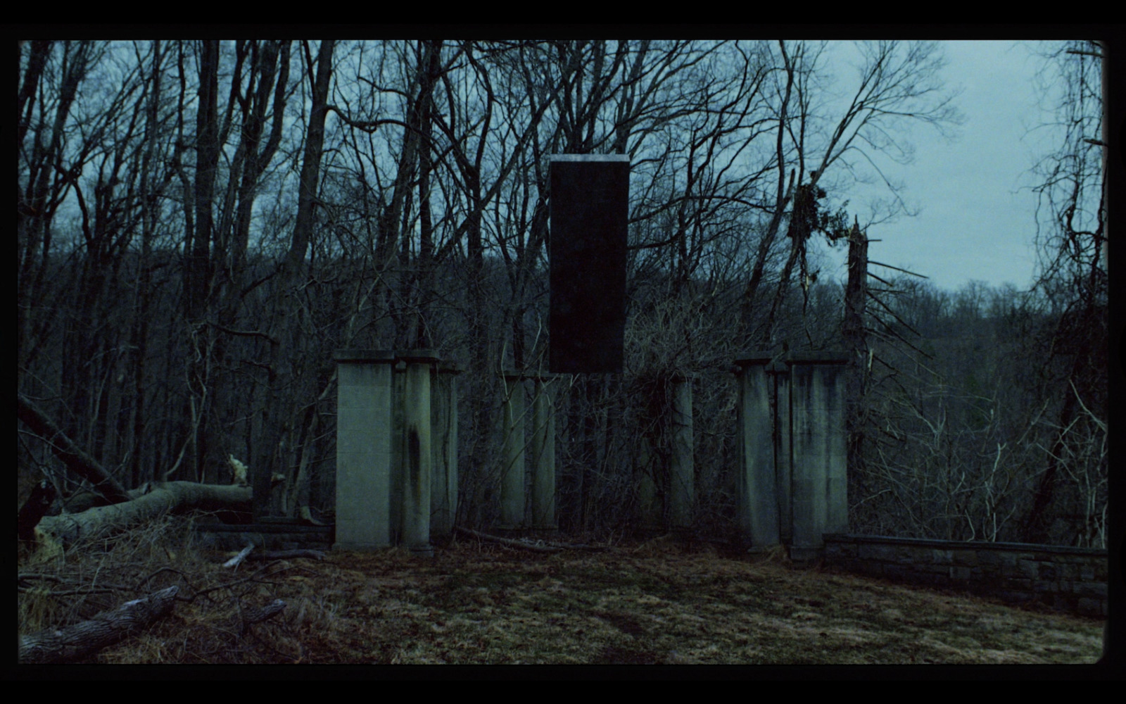 a creepy picture of a gate in the woods