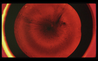 a close up of a red object with a black background