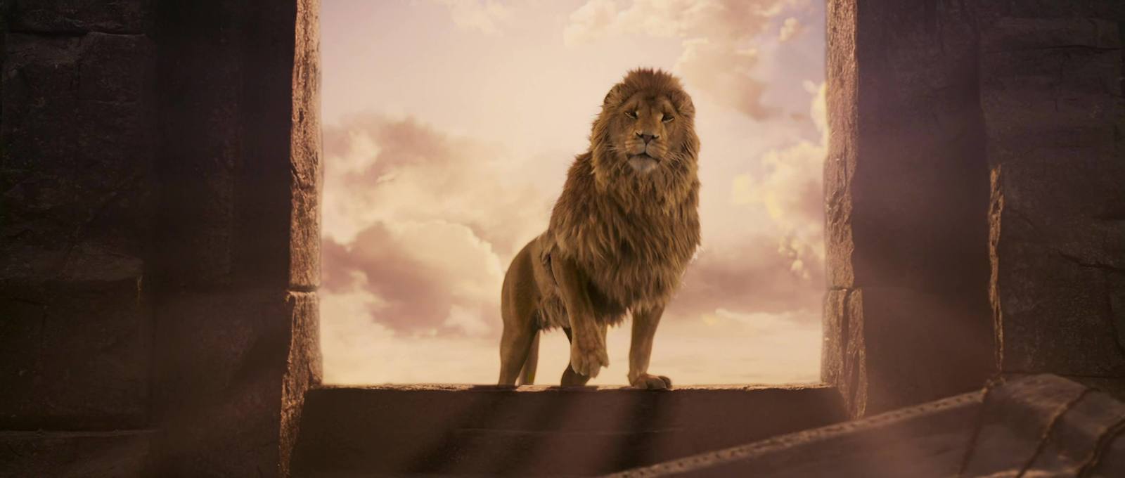 a lion standing in front of a window