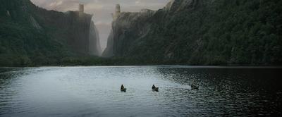 a group of ducks floating on top of a lake