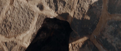 a close up of a giraffe's shadow on a rock wall