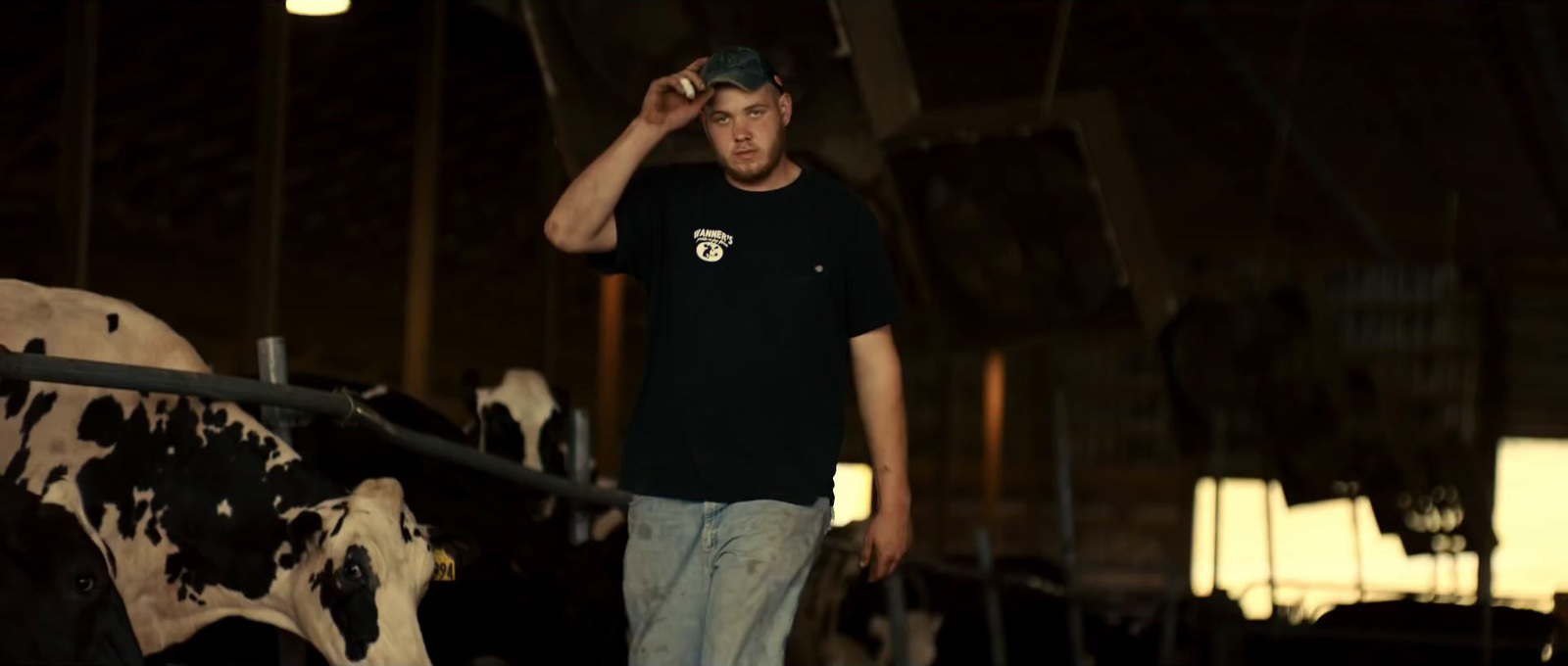 a man standing next to a cow in a barn