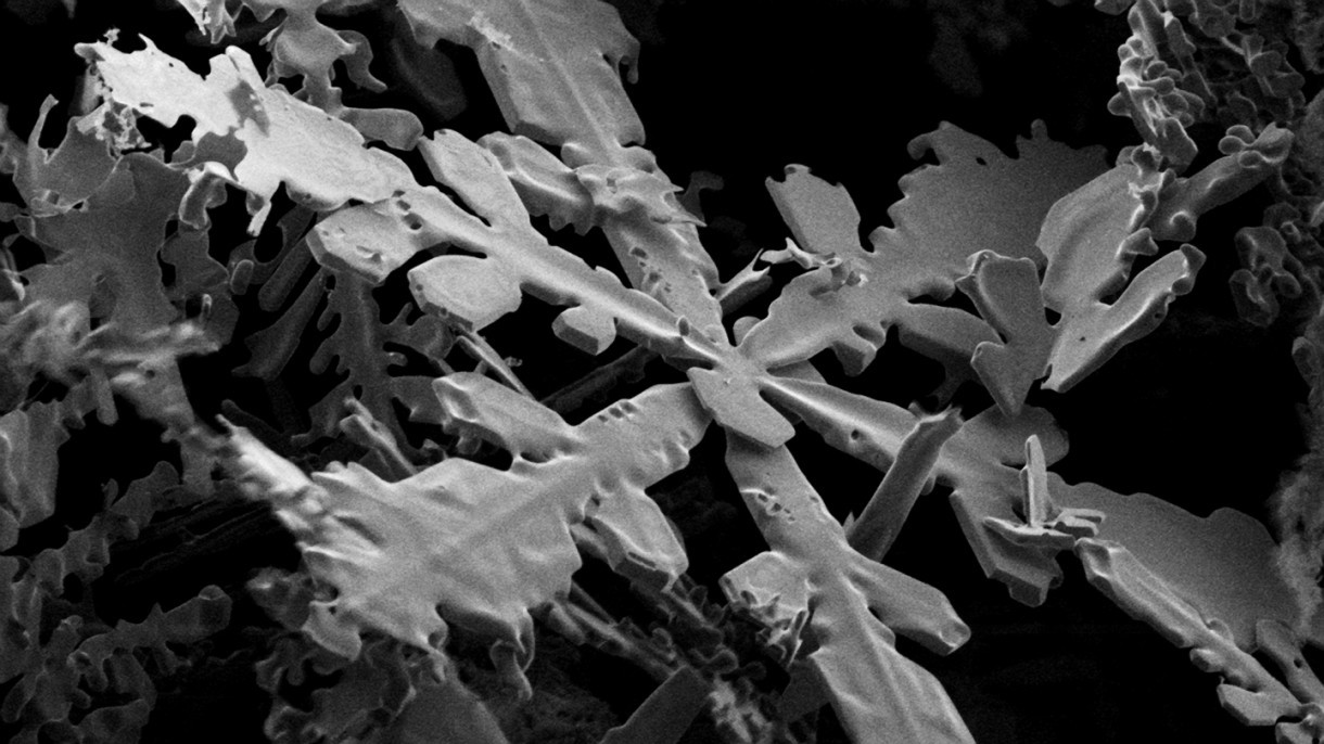 a black and white photo of a snowflake