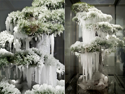 two pictures of a tree covered in ice and snow