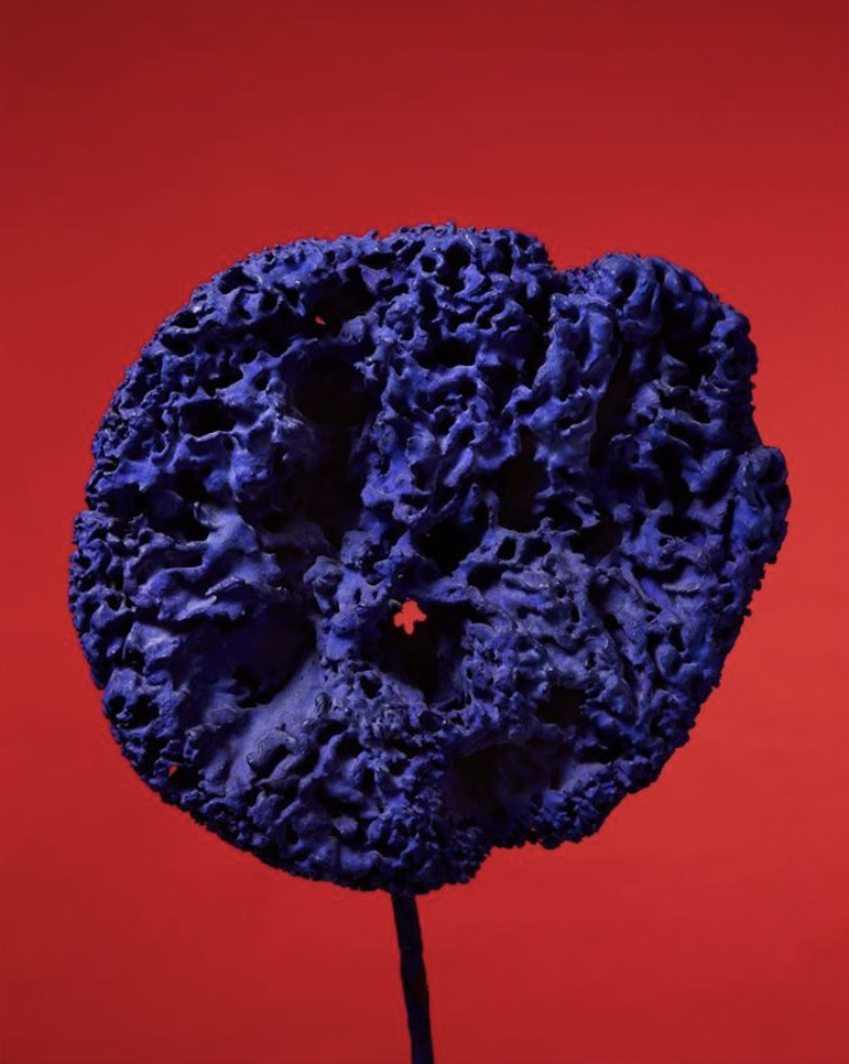 a blue piece of coral sitting on top of a red surface