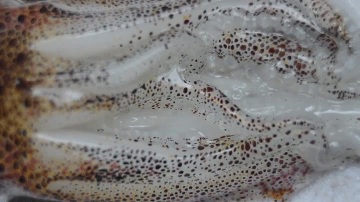 a close up of a bag of food on a table