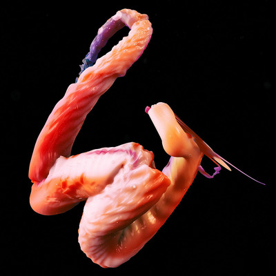 a close up of a piece of food on a black background