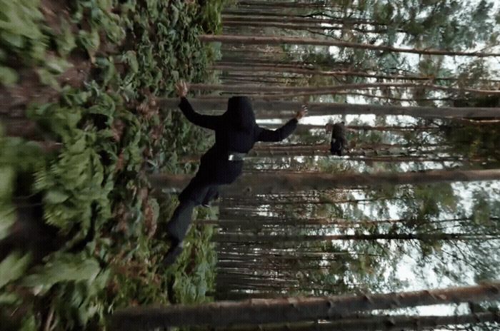 a person standing in the middle of a forest