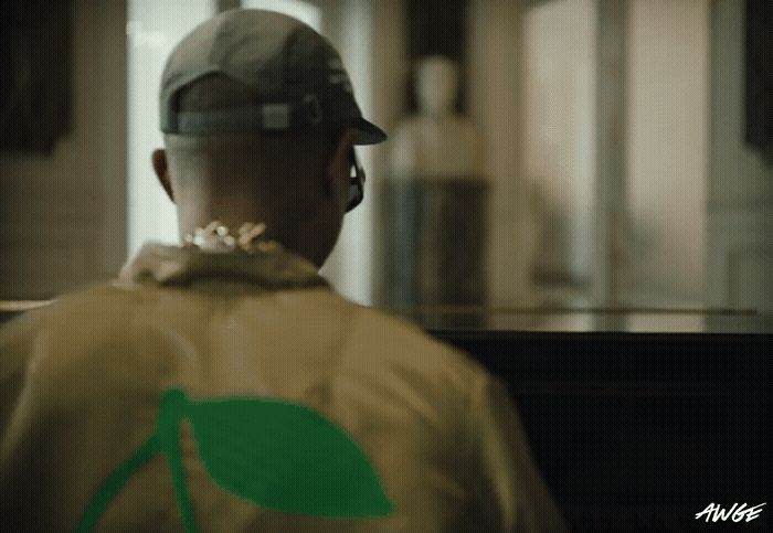 a man wearing a hat and jacket with a green leaf on it