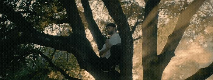 a man climbing up a tree in a park