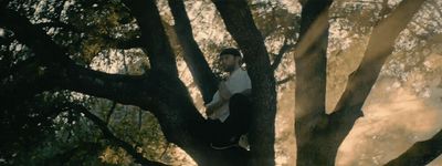 a man climbing up a tree in a park